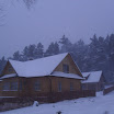 SDC10597.JPG