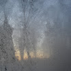SDC10599.JPG