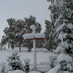 SDC10125.JPG