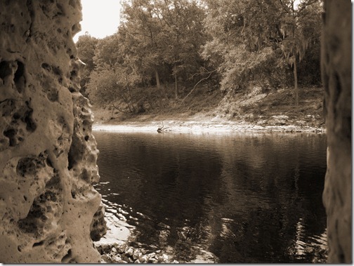 springs 020sepia