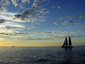 DSC01098.JPG