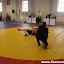 Eliminację do OOM Krotoszyn 2011