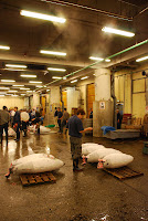 Tokyos Fischmarkt, die Thunfisch-Auktion. In den Hallen ist es eiskalt. – 24-Jul-2009