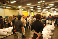 Tokyos Fischmarkt, die Thunfisch-Auktion. Gebote. – 24-Jul-2009
