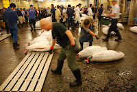 Tokyos Fischmarkt, die Thunfisch-Auktion. Die Auktion ist vorbei, der Fisch wird abgeräumt. – 24-Jul-2009
