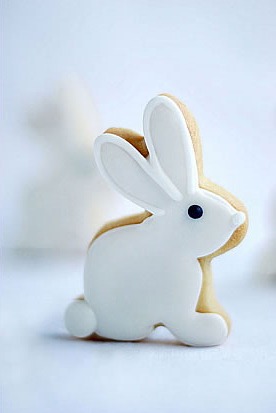 [white bunny[4].jpg]