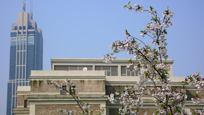 http://lh6.ggpht.com/_fJ8bb-EOrjc/SdiltVvgzbI/AAAAAAAAC0c/bG5hfhHcKqE/s400/L1060689.JPG