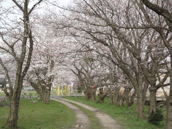 DSC03404 DSC03404
