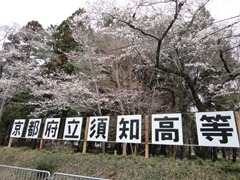 DSC03255 DSC03255