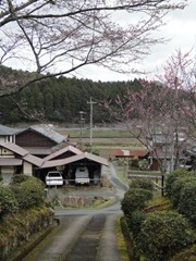 DSC03260 DSC03260