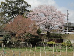 DSC03286 DSC03286