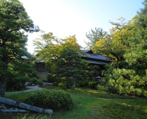 DSC04925 DSC04925