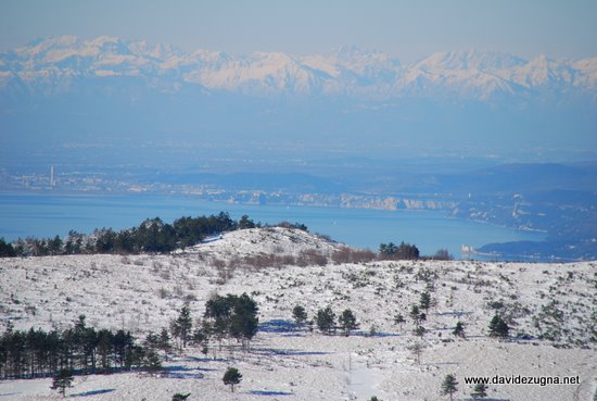 Il Golfo di Trieste
