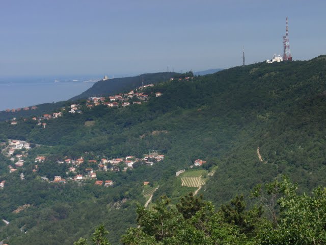 Ciglione Carsico