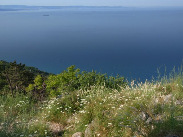 Golfo di Trieste