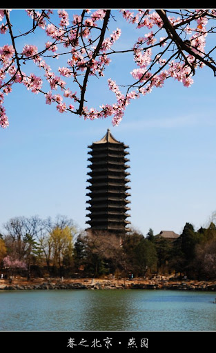 北京大学-春天-美景摄影-未名湖的桃花