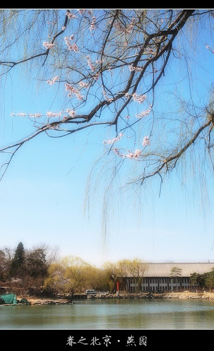 北京大学-春天-美景摄影-未名湖