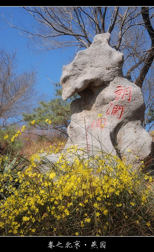 北京大学-春天-美景摄影-朗润园