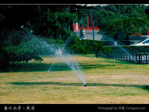 北京大学-春天-美景-摄影-草地洒水