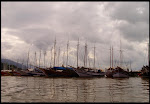 Slide2.JPG - CAIS EM PARATY