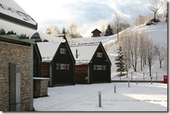 sneg 2010