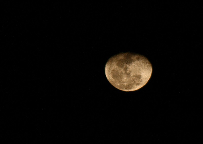 [img_00515.JPG]