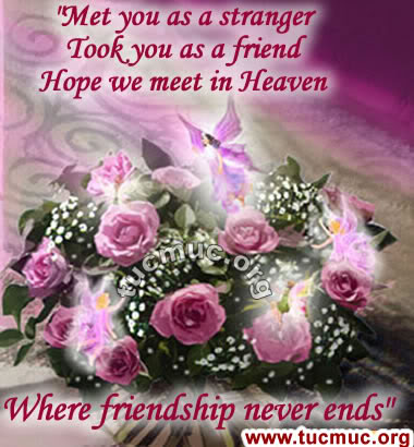 Roses for Friends  Image - 6