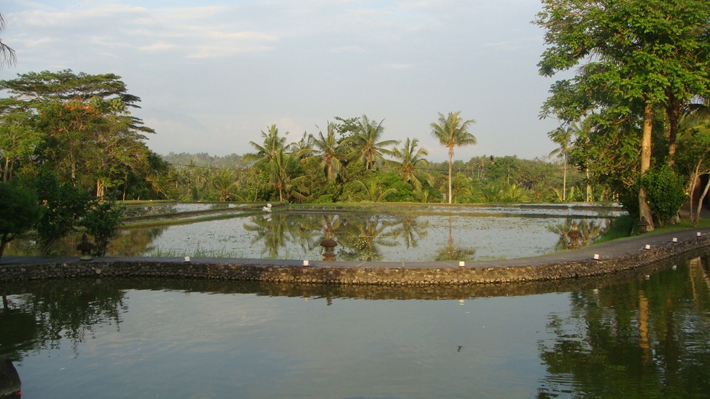 [DSC068512.jpg]
