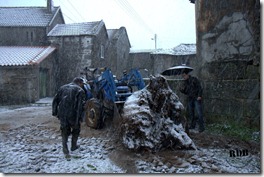 IMG_4757