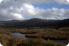 IMG_5579