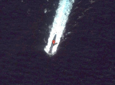 Google Earth（グーグルアース）で発見された潜水艦