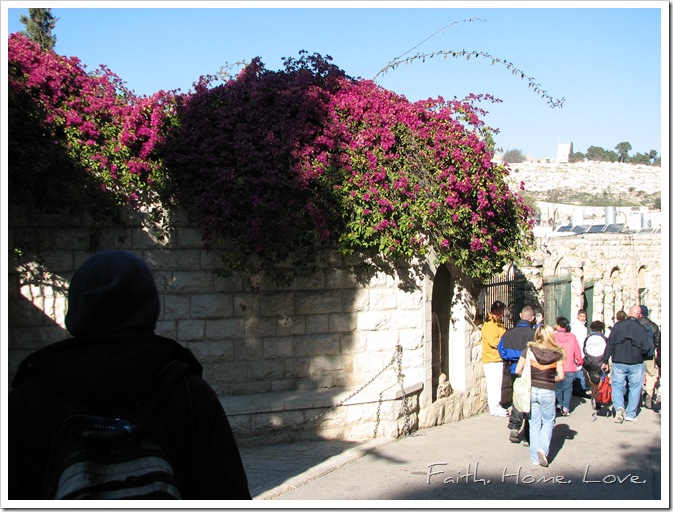 IMG_5052 IMG_5052