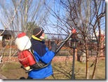 работа в саду работа в саду