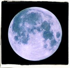 BlueMoon BlueMoon