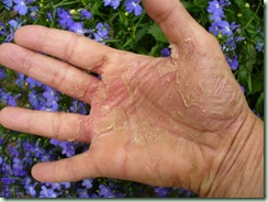 Hand Hand