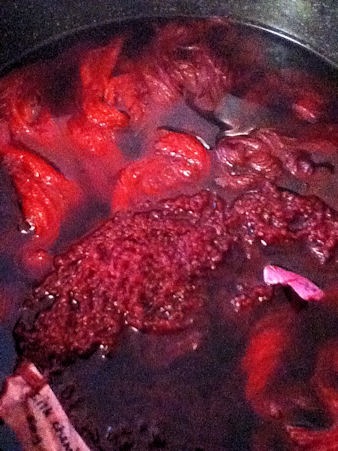 [Cochineal Bath[3].jpg]