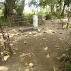 DSC00245.JPG