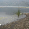 DSC00250.JPG
