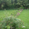 DSC00252.JPG