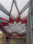 Liege Liege