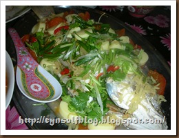 DSCN5885
