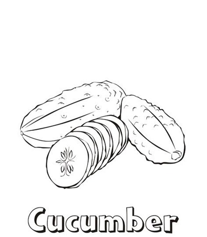 [cucumber[4].jpg]