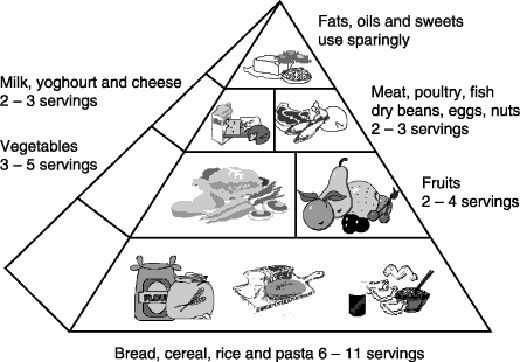 [food-pyramid.1[3].jpg]
