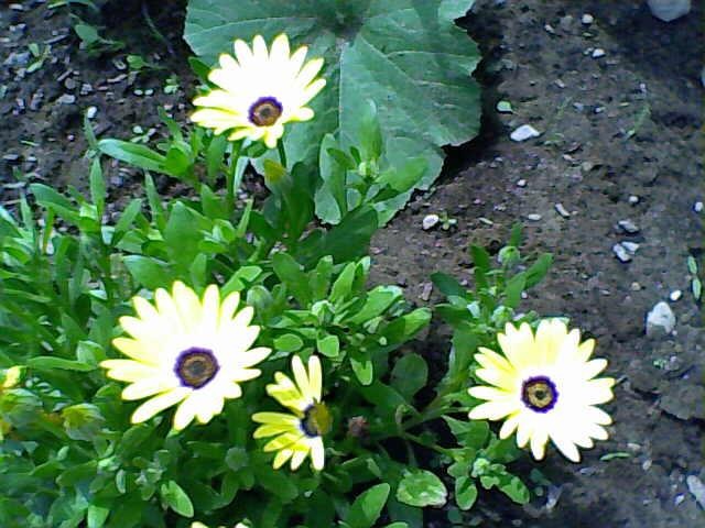 [06-06-1095135[6].jpg]