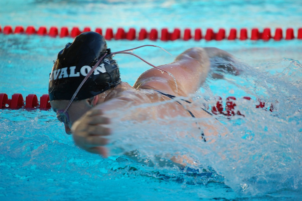 [swimmer[6].jpg]