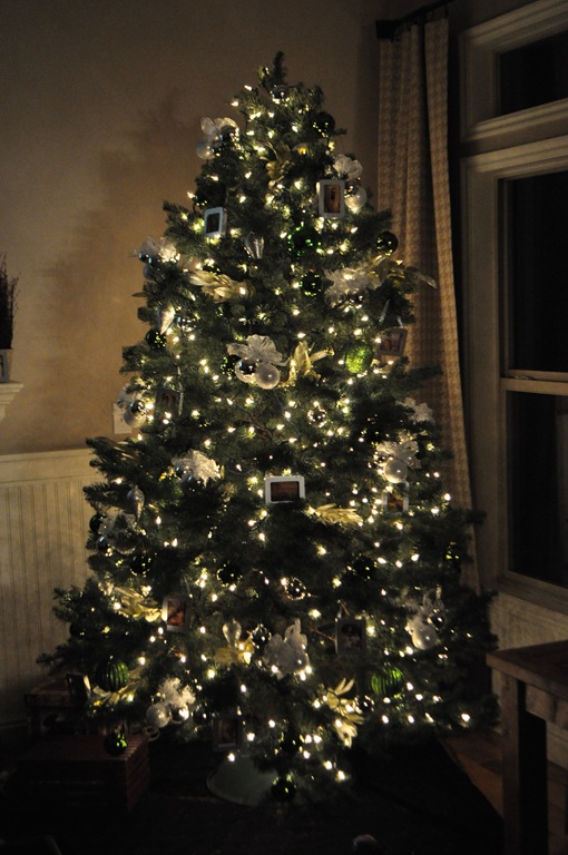 [tree[5].jpg]
