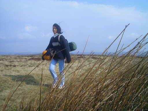 northwind