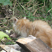 IMG_2368.JPG