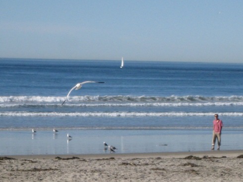[Another beach in La Jolla[3].jpg]