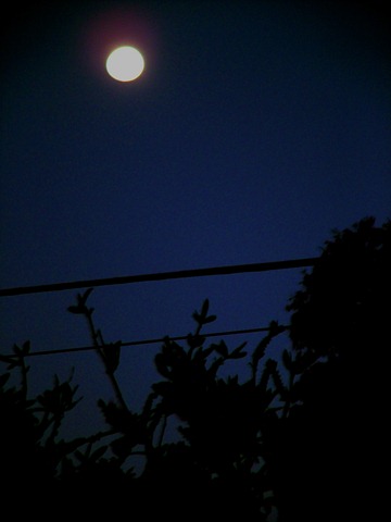 The moon shines bright: AWatson-Will
